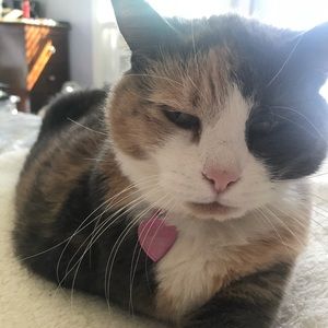 Meet your Posher, Lynne